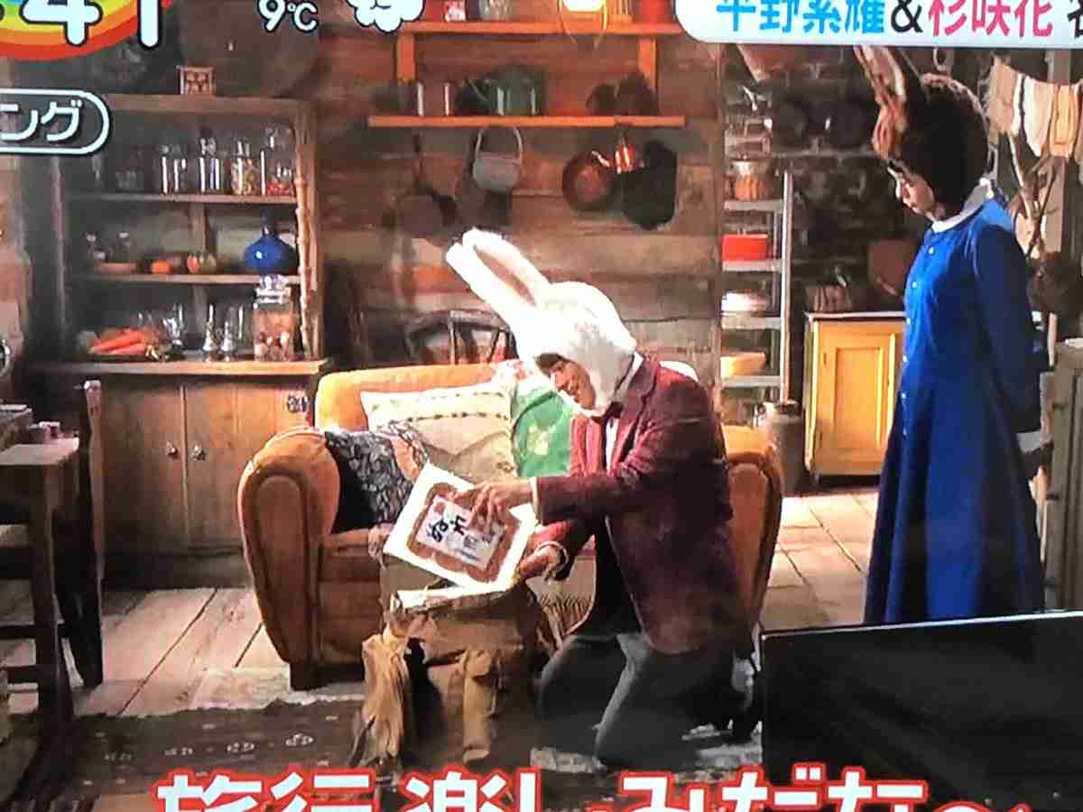 平野紫耀&杉咲花、『花晴れ』以来3年ぶり再タッグ キュートなウサギに変身「緊張して照れちゃいました」