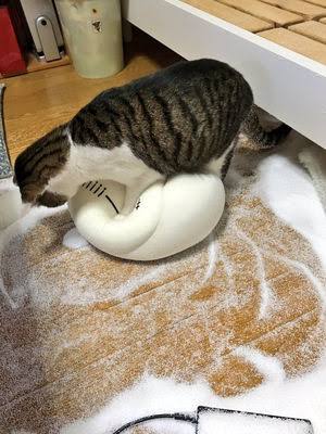 ビーズクッションいろいろ