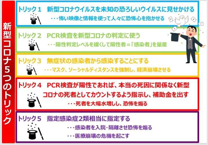 飼い主のオンライン会議に参加し続けたネコ、とうとうカメラ目線を覚える 「自分のことニュースキャスターだと思ってる?」