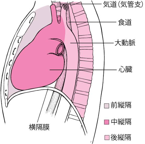 同じ境遇の人を探すトピ
