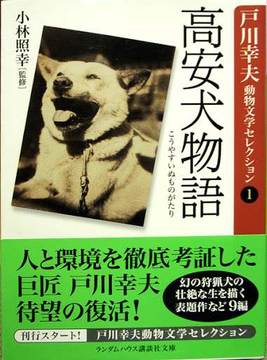 【純文学も】小説書いてるガル民【エンタメも】