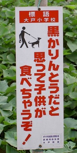 子供をよく公園へ遊びに連れて行くのは貧乏人？