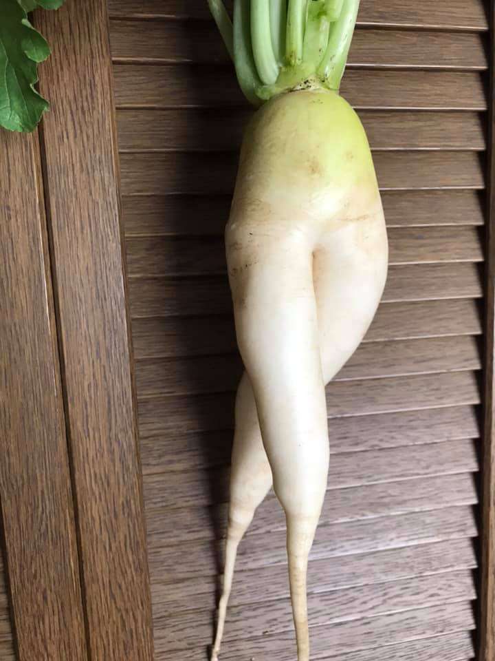 採用されなかったトピックの画像を貼って何のトピか当てよう！！