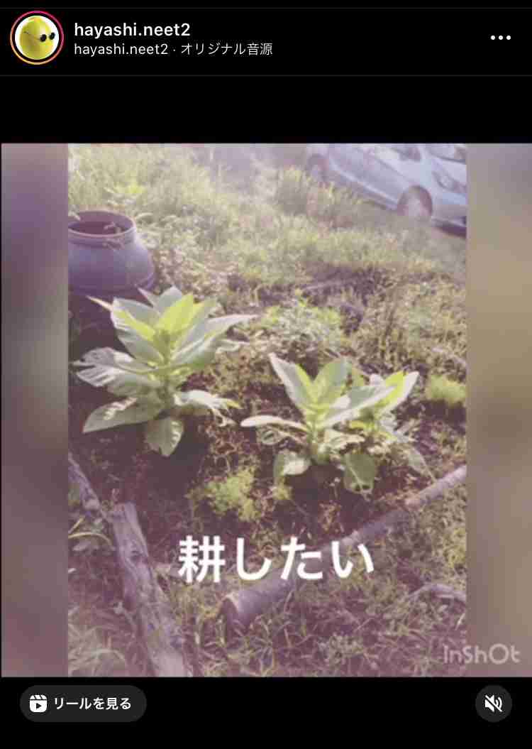 Suchmosが活動休止を発表「修行の時期に」