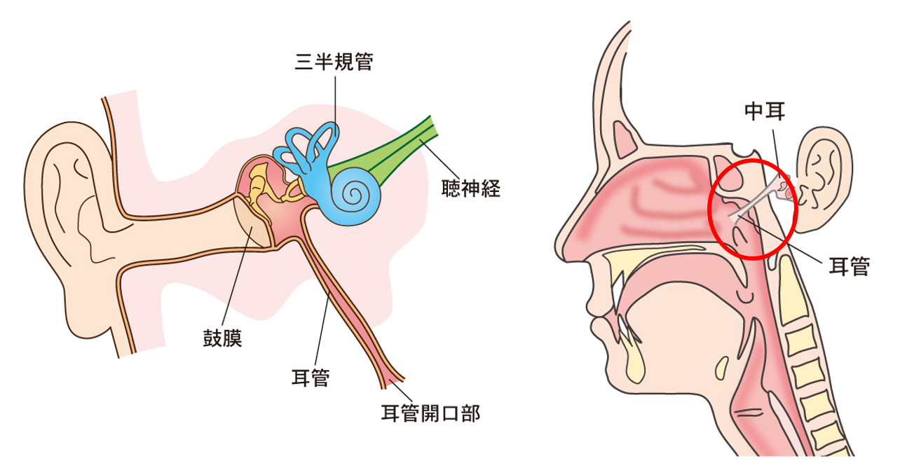 耳管開放症の方いませんか？