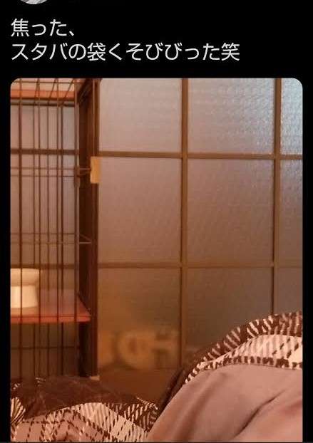 スタバのおすすめメニュー