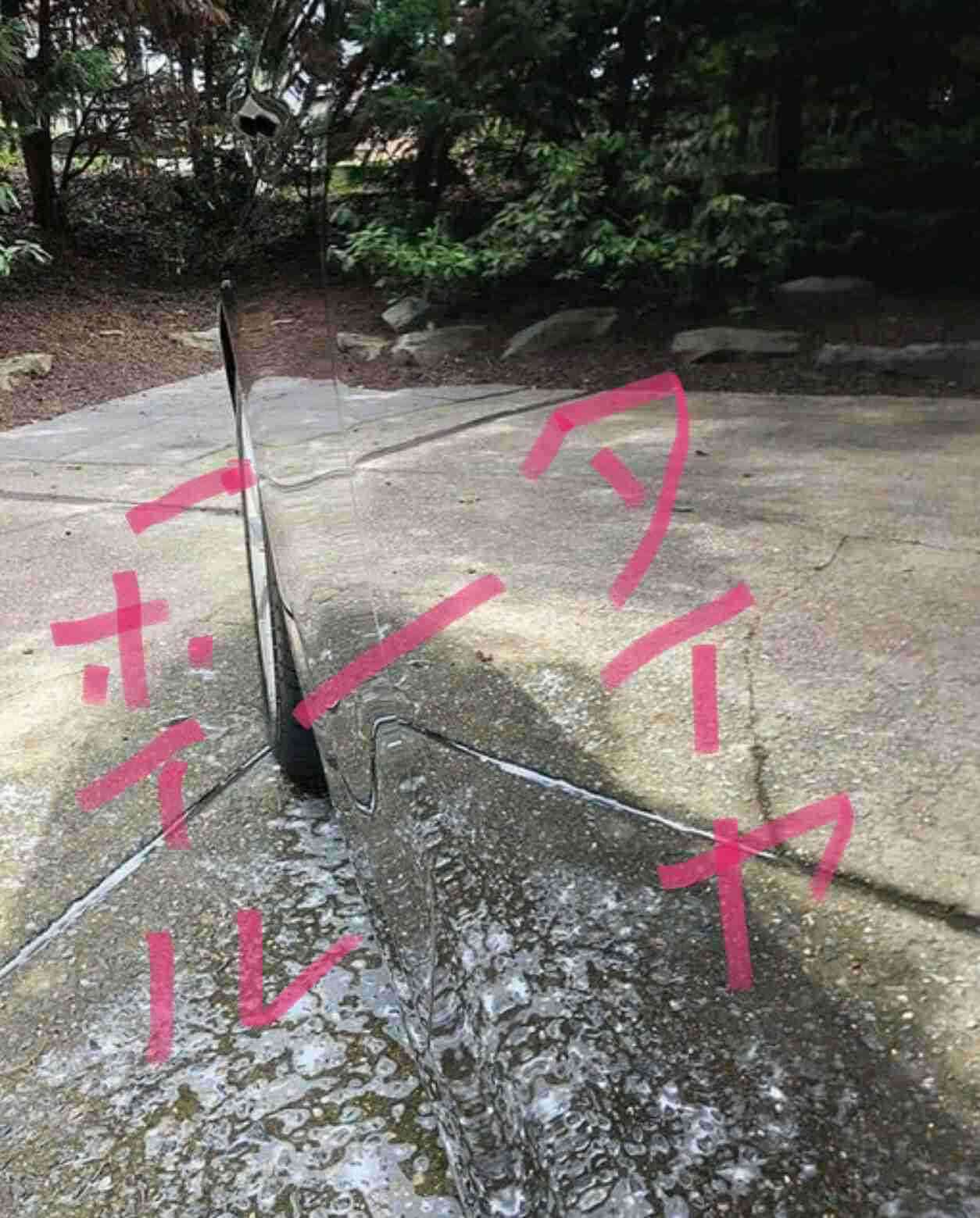 プチ驚いた画像を貼ってみるトピpart2