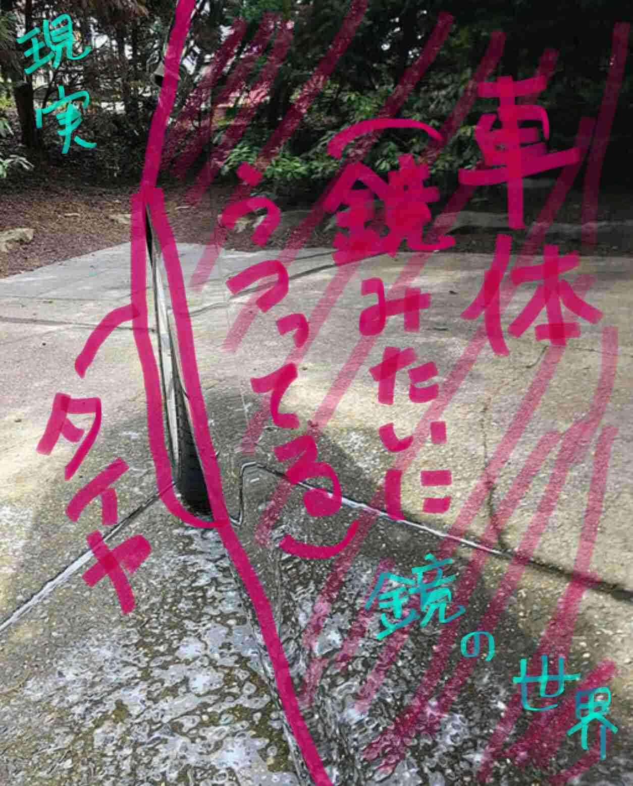プチ驚いた画像を貼ってみるトピpart2