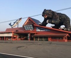 プチ驚いた画像を貼ってみるトピpart2
