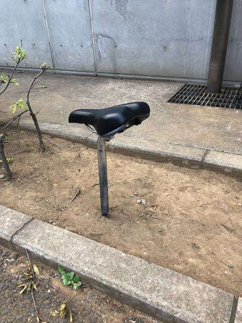 プチ驚いた画像を貼ってみるトピpart2