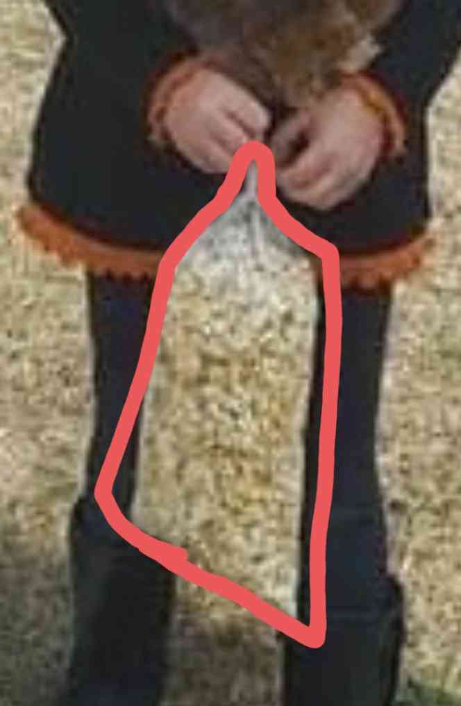 プチ驚いた画像を貼ってみるトピpart2