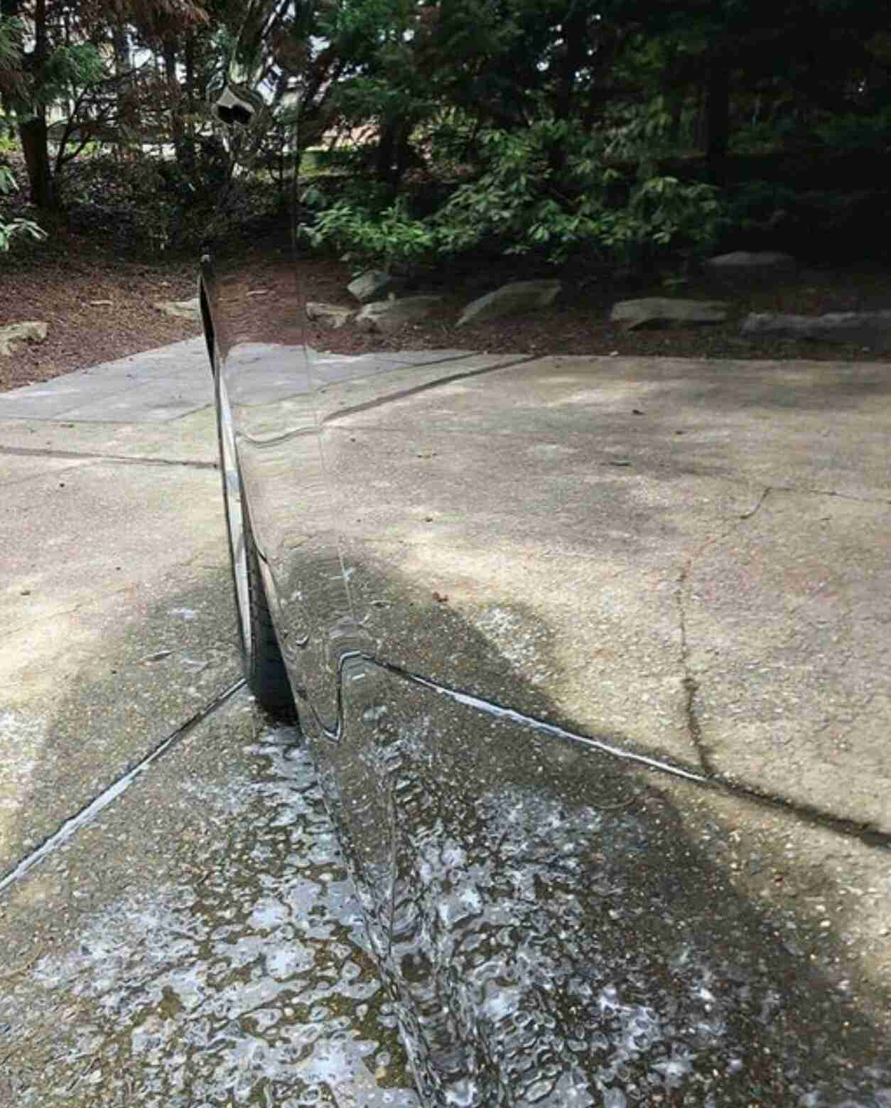 プチ驚いた画像を貼ってみるトピpart2