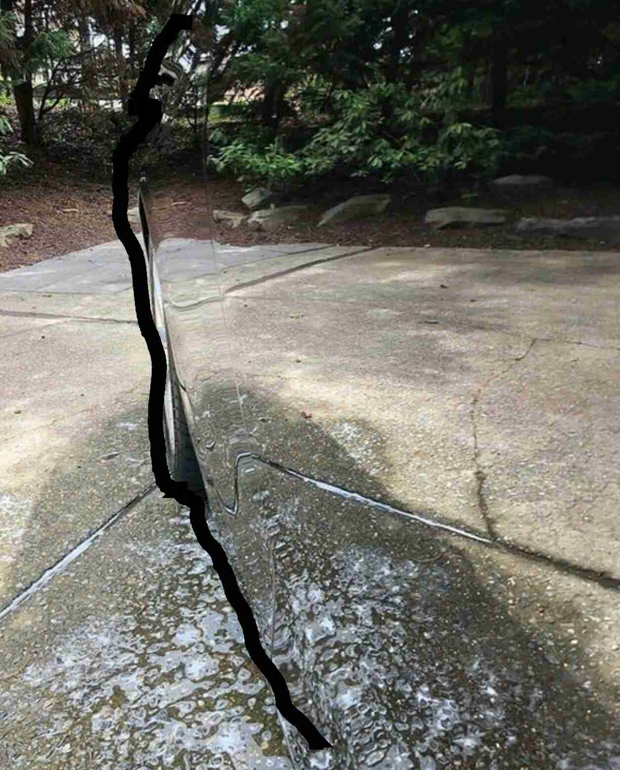 プチ驚いた画像を貼ってみるトピpart2