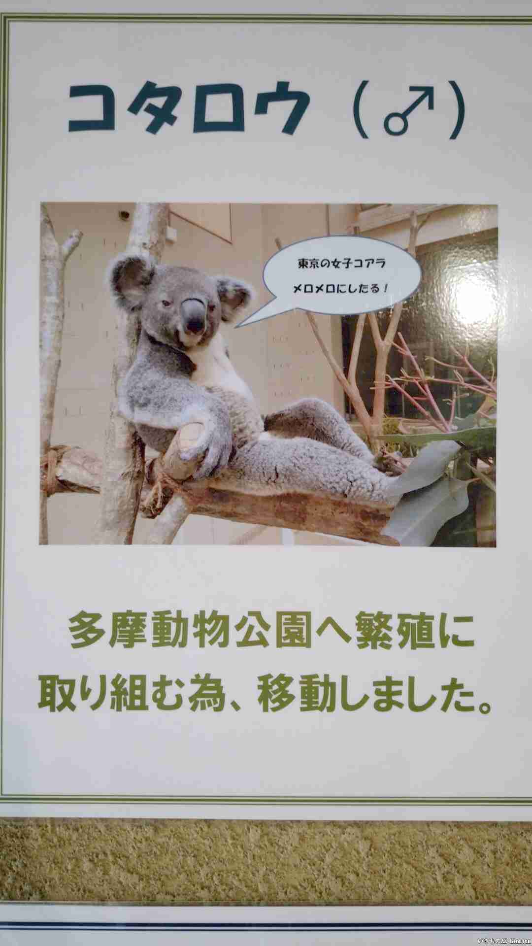 イケメン動物の画像を貼るトピ【Part2】