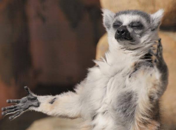 イケメン動物の画像を貼るトピ【Part2】