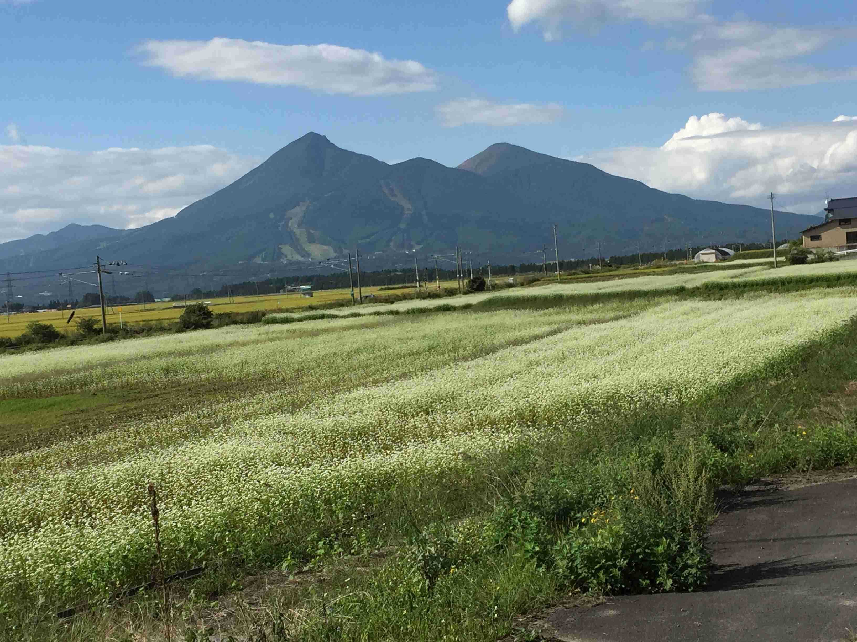 福島県民、きて〜