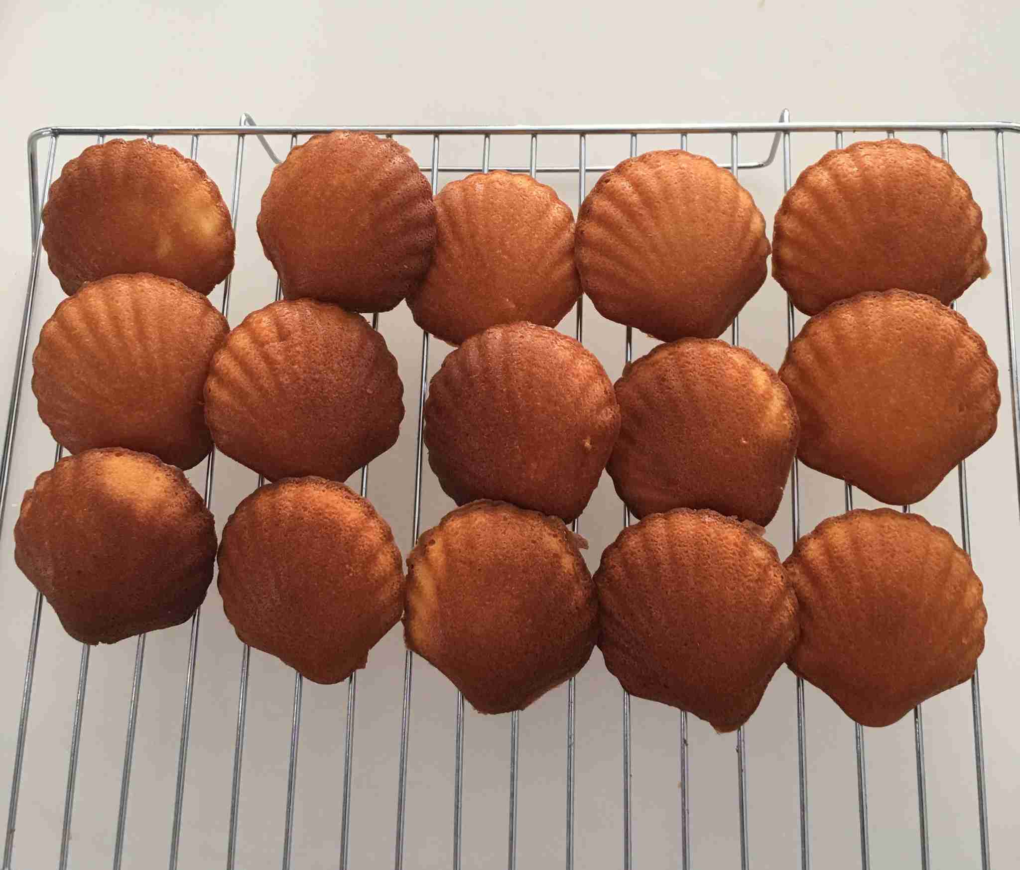 みなさんの手作り品見せてください(なんでも可)   