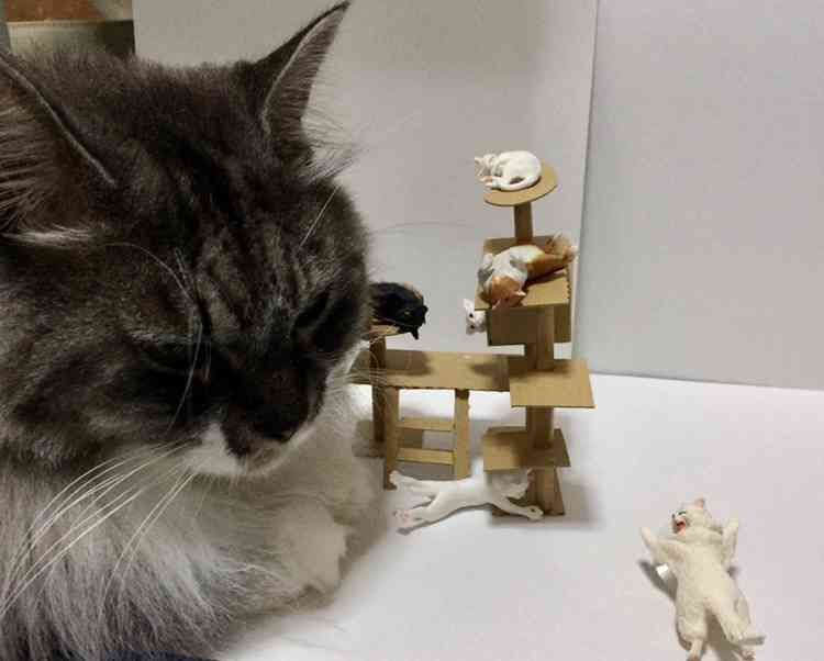 みなさんの手作り品見せてください(なんでも可)   