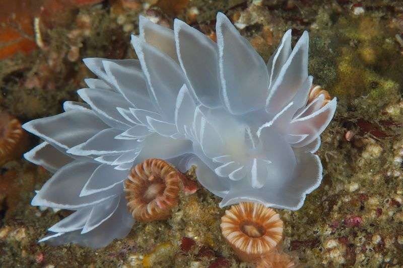 映画館で何食べる？