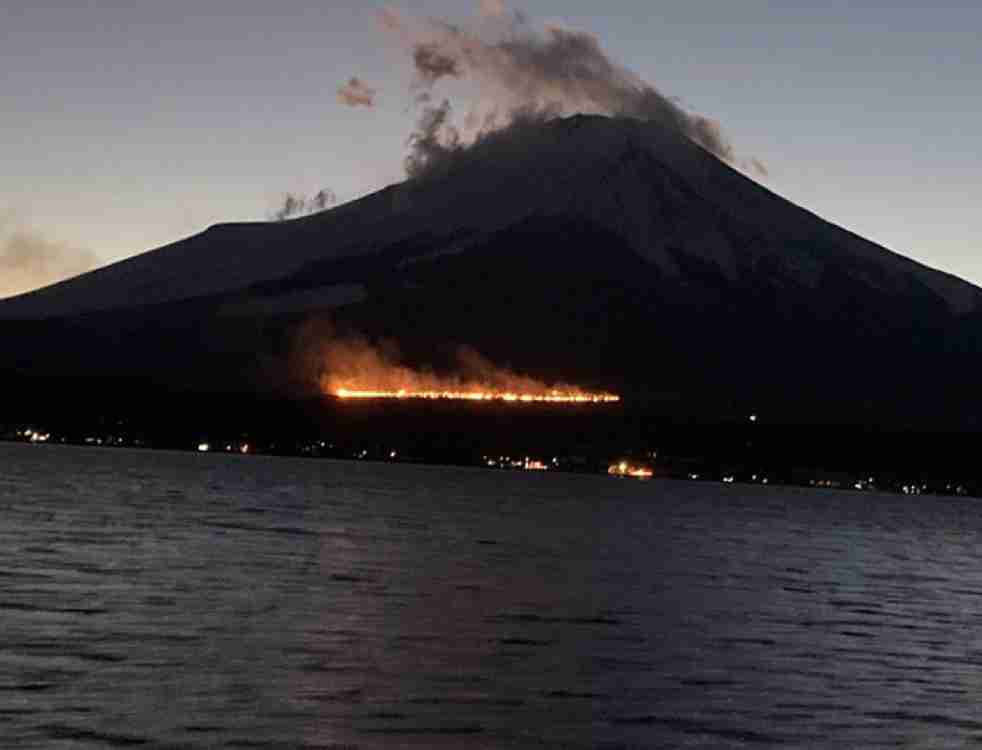 映画館で何食べる？