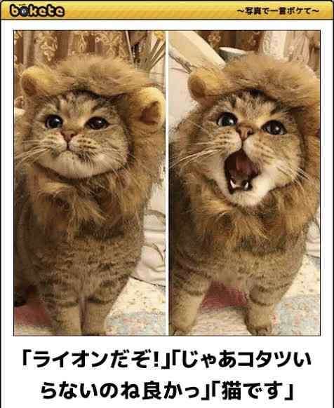 映画館で何食べる？