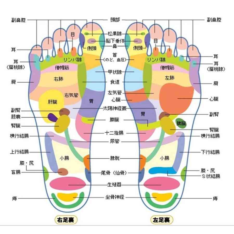 映画館で何食べる？