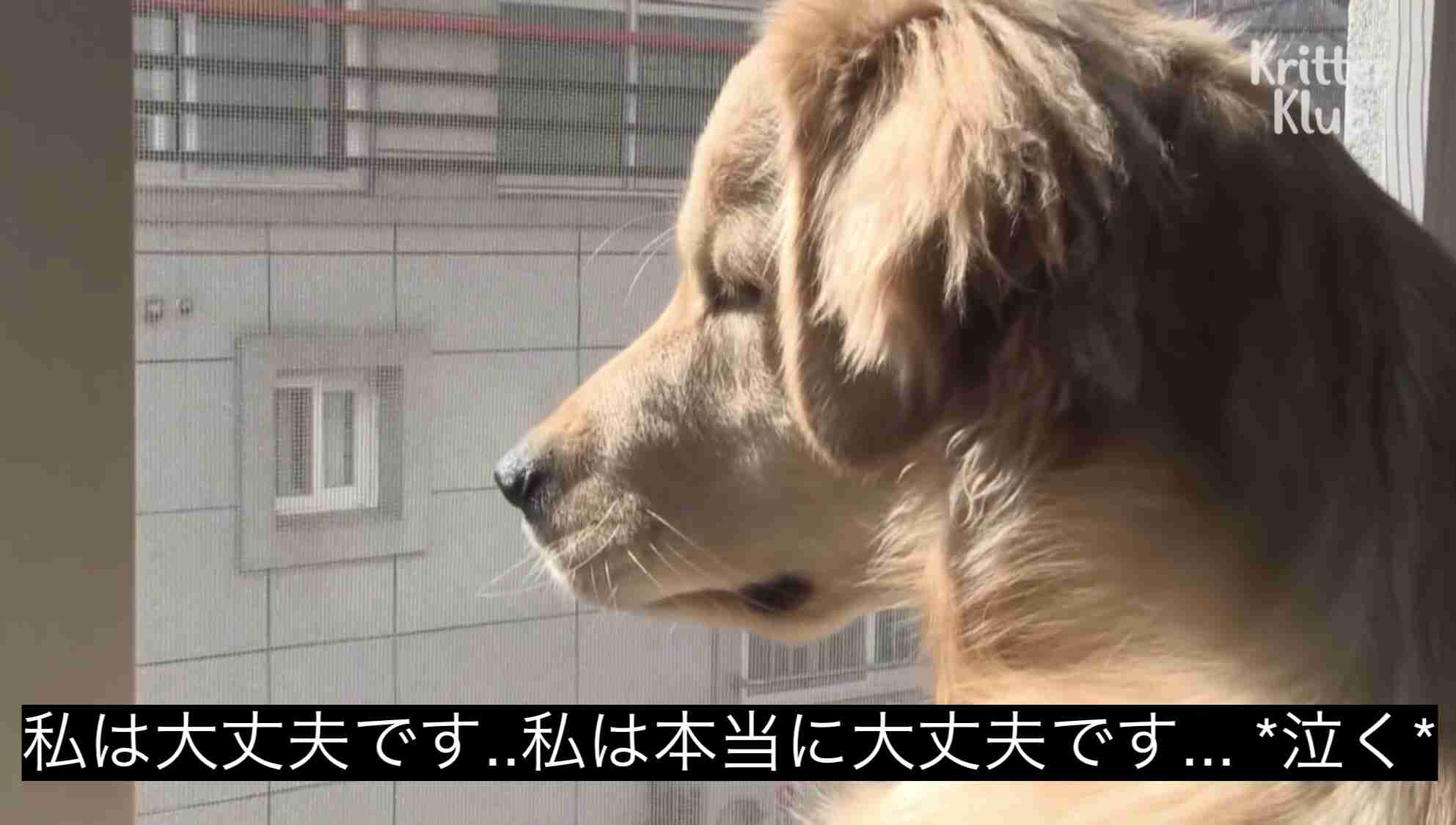 仲は悪くないけどお互い警戒心がある相手