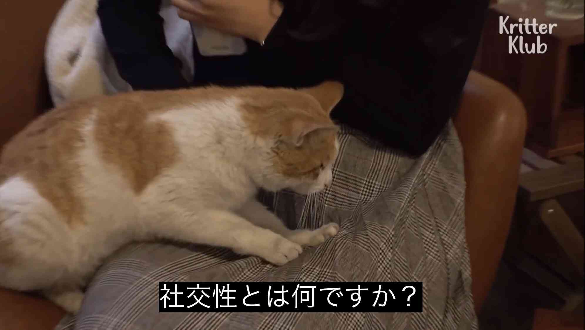 仲は悪くないけどお互い警戒心がある相手
