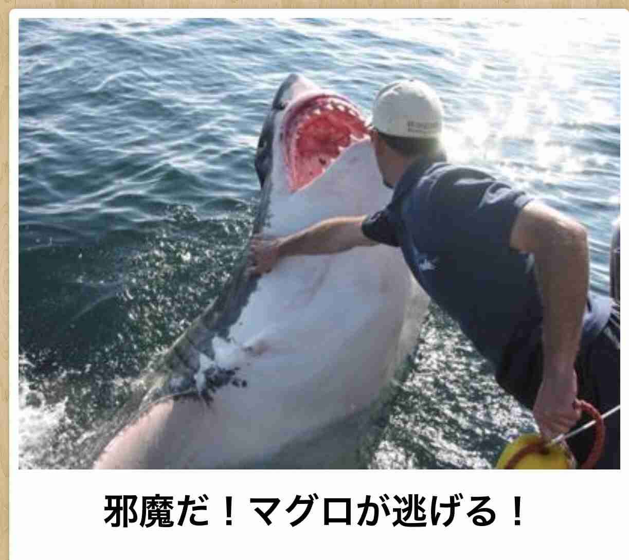 地上波で放送したら絶対観る映画