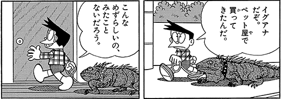 珍しいペット飼ってる人(犬、猫、ハムスター以外)