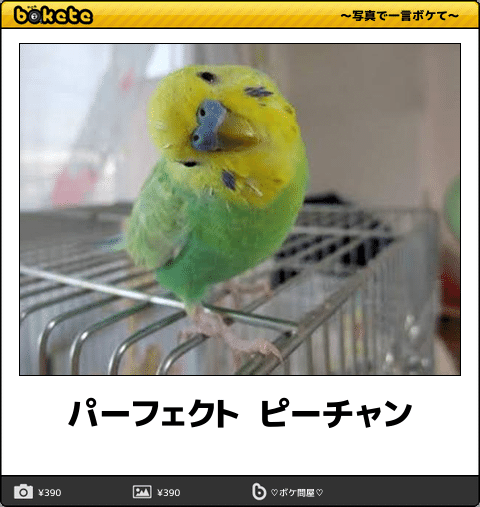 【スギちゃん雑談】真冬をみんなで乗り切ろうぜぇ〜！【part57】
