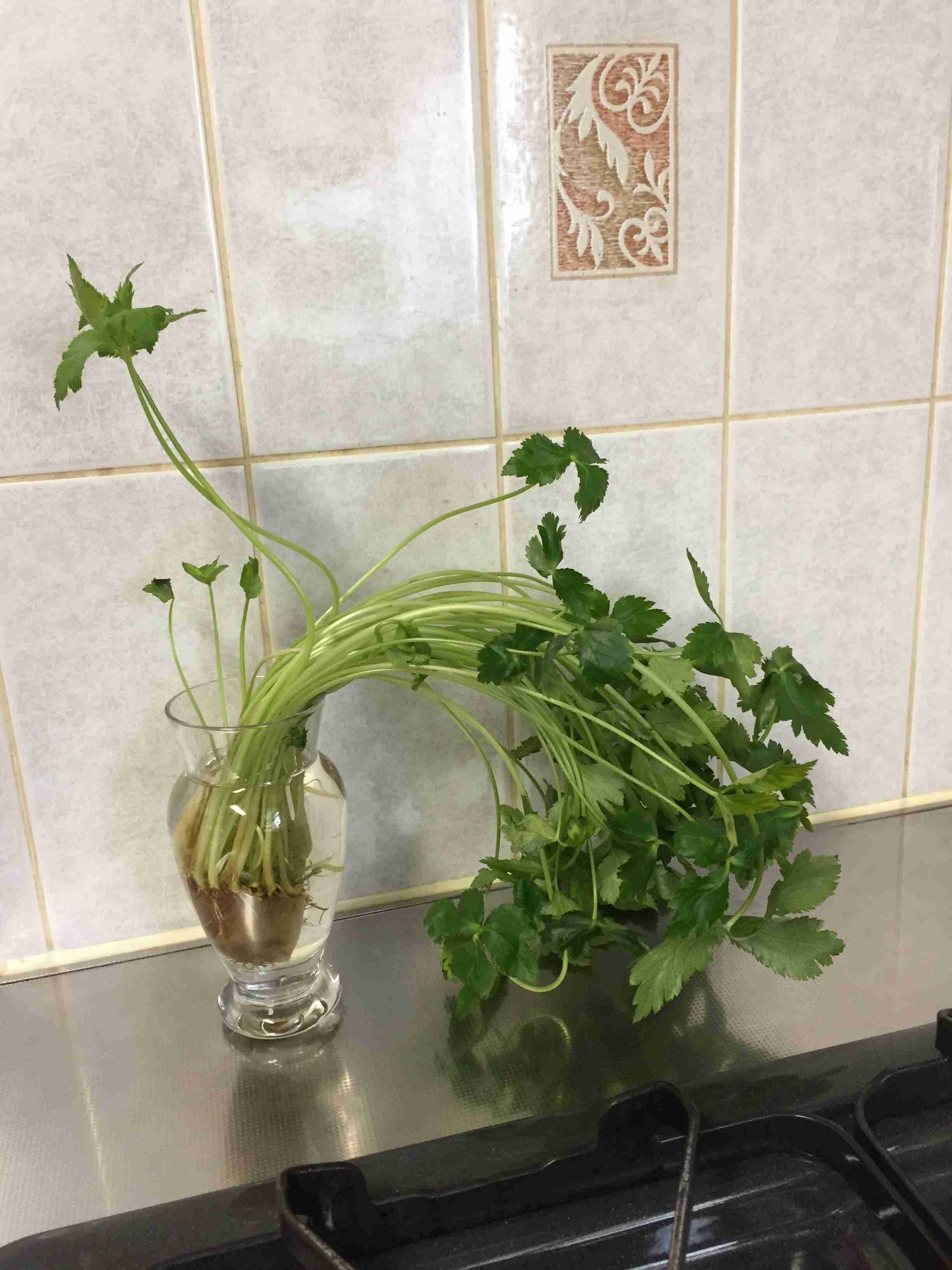 生活感溢れる写真☆part15