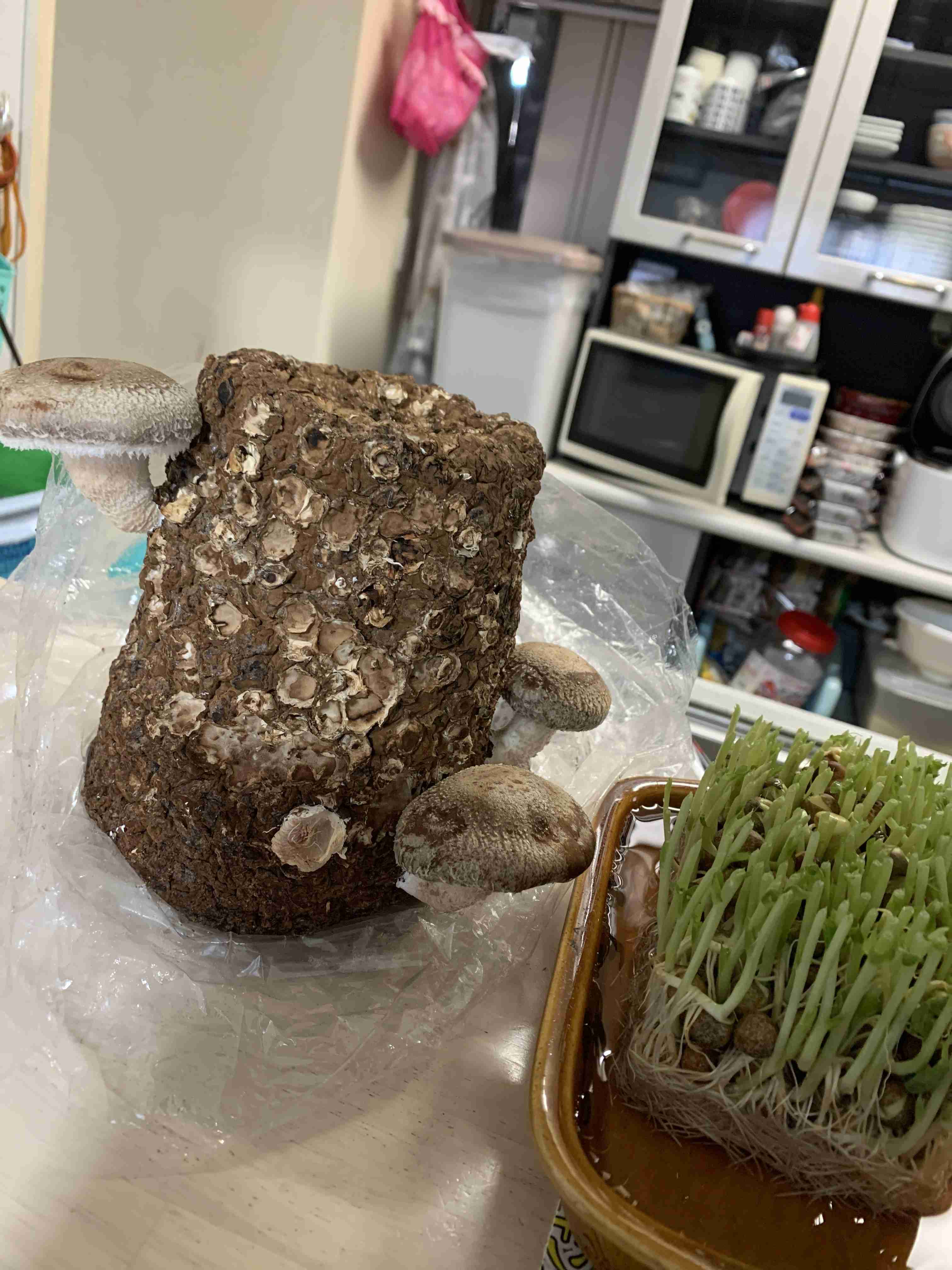 生活感溢れる写真☆part15