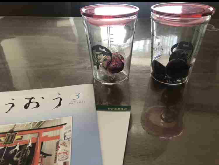 生活感溢れる写真☆part15