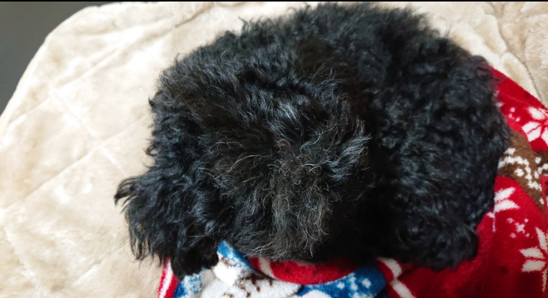 生活感溢れる写真☆part15