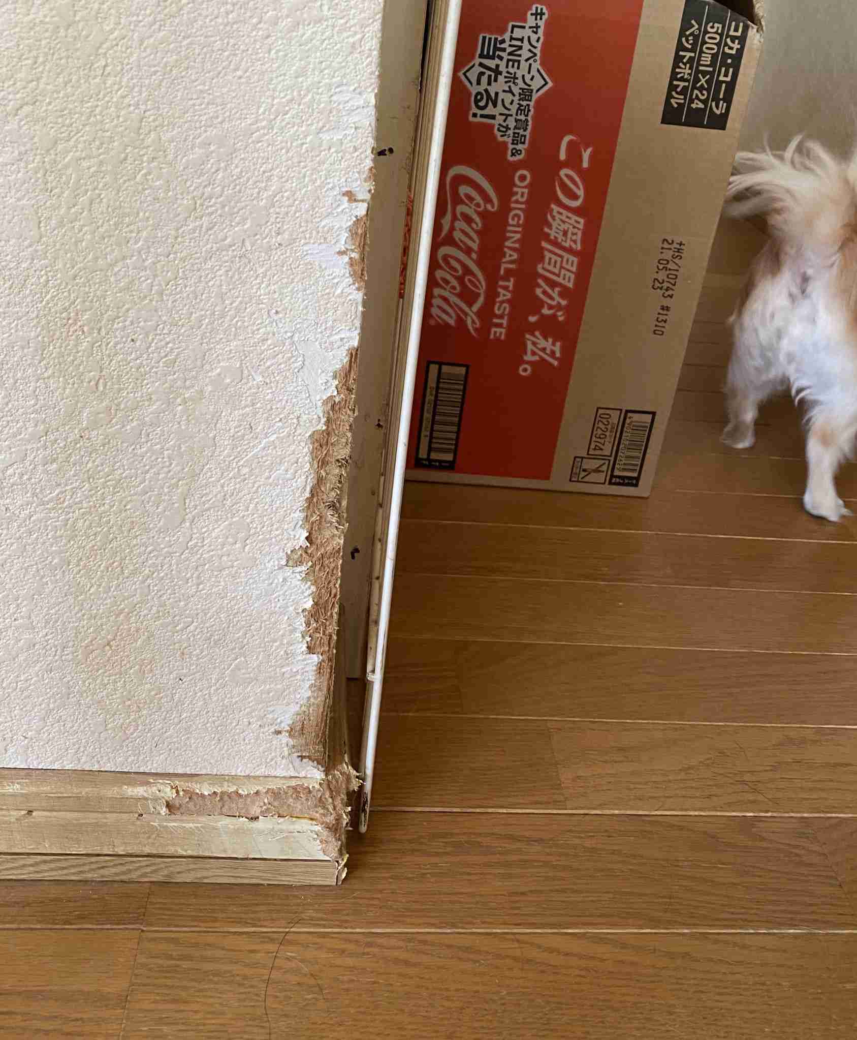 生活感溢れる写真☆part15