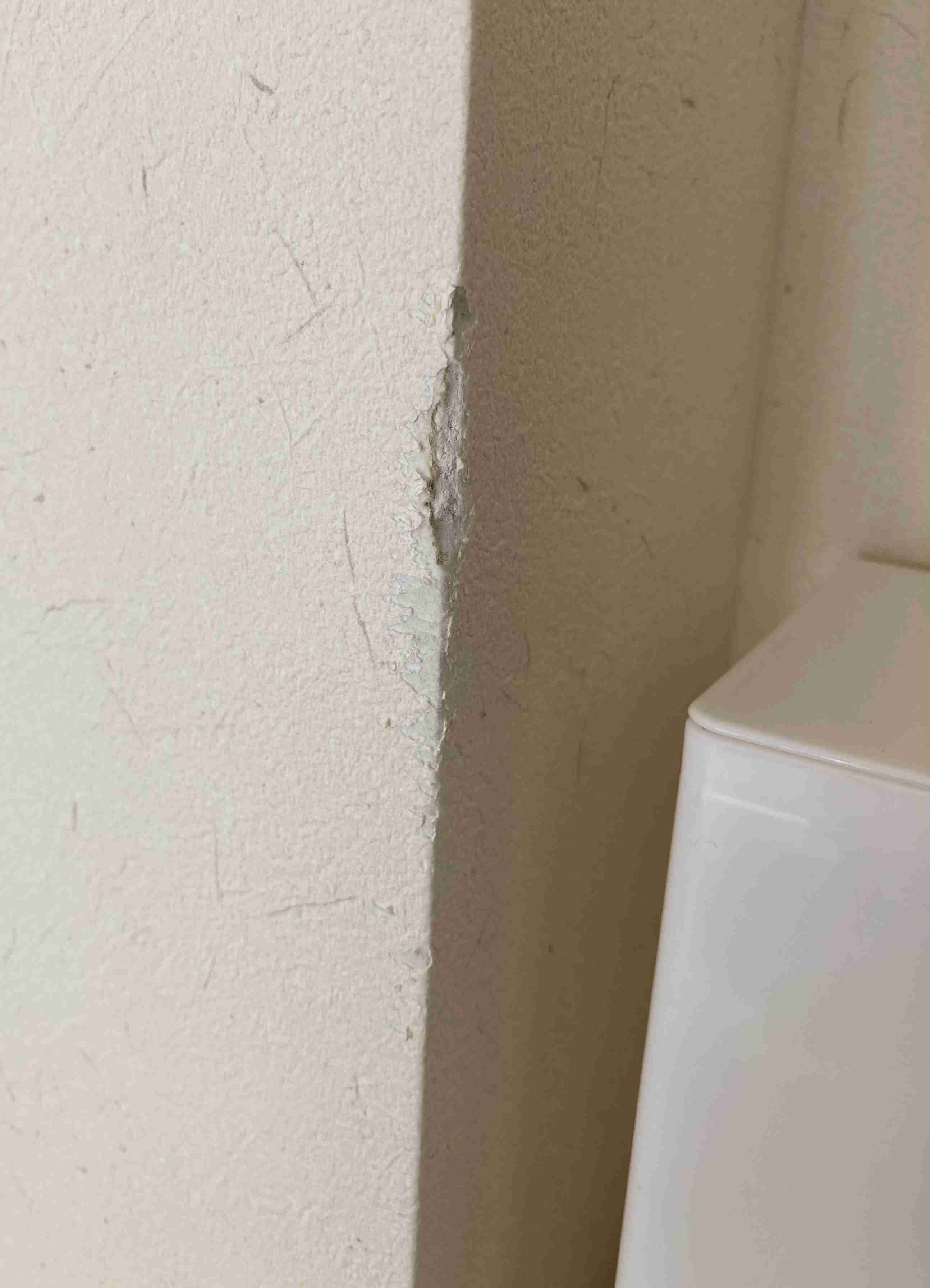 生活感溢れる写真☆part15