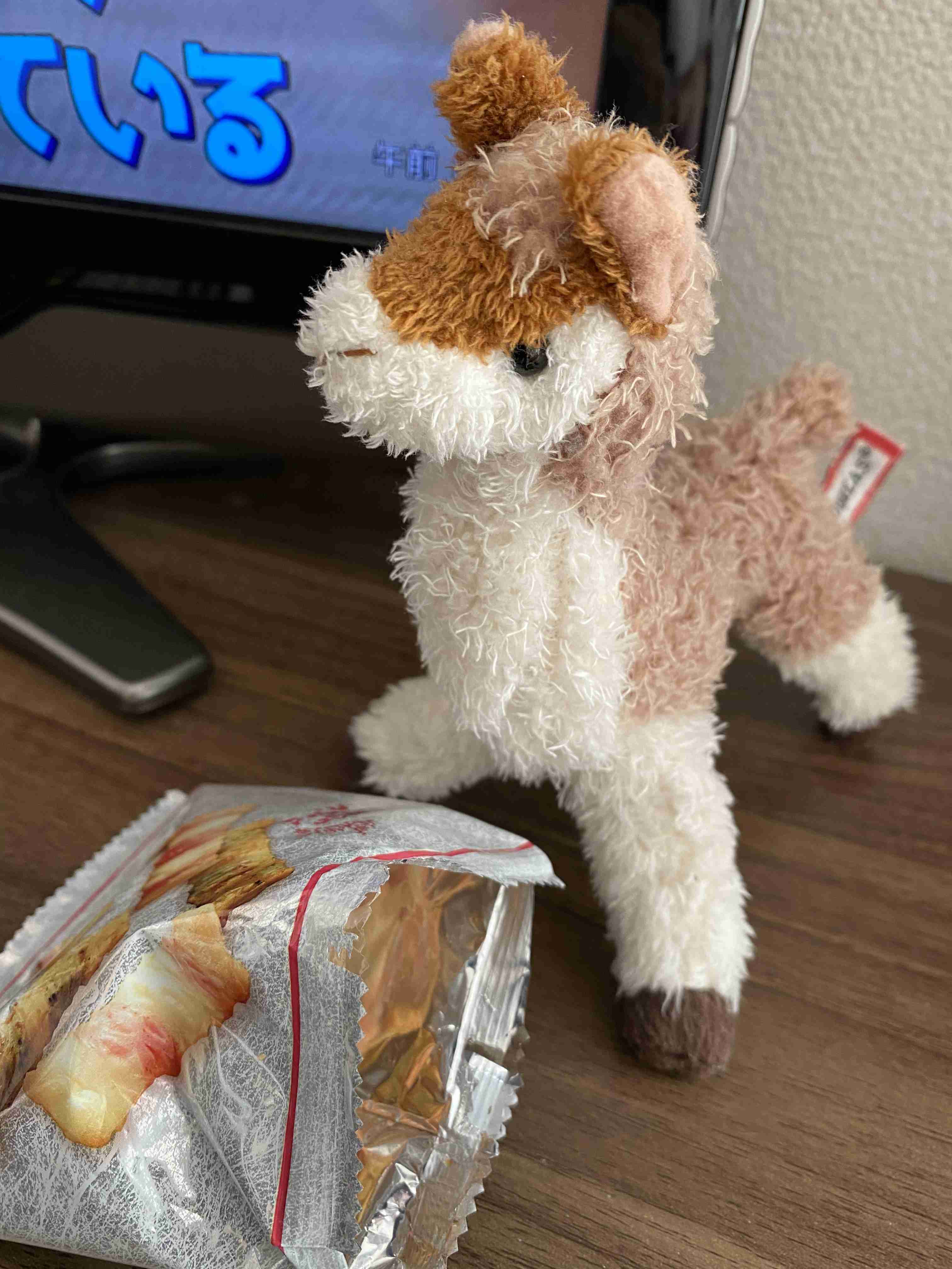 生活感溢れる写真☆part15