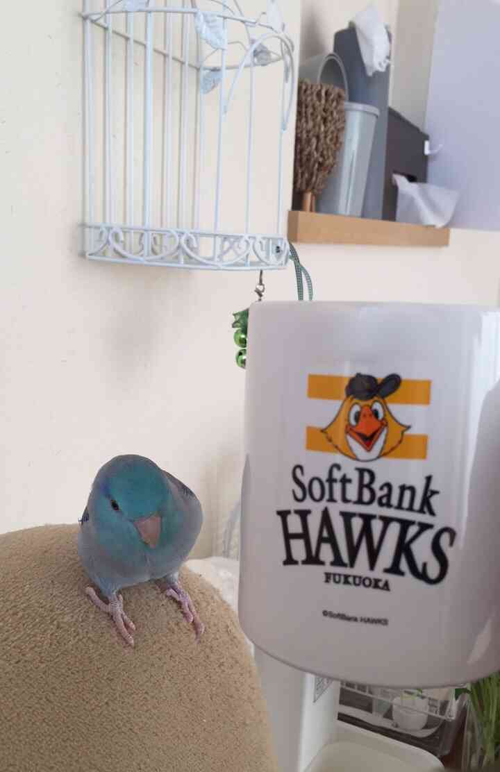 生活感溢れる写真☆part15
