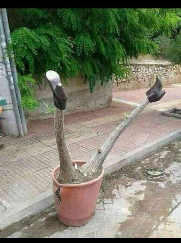 生活感溢れる写真☆part15