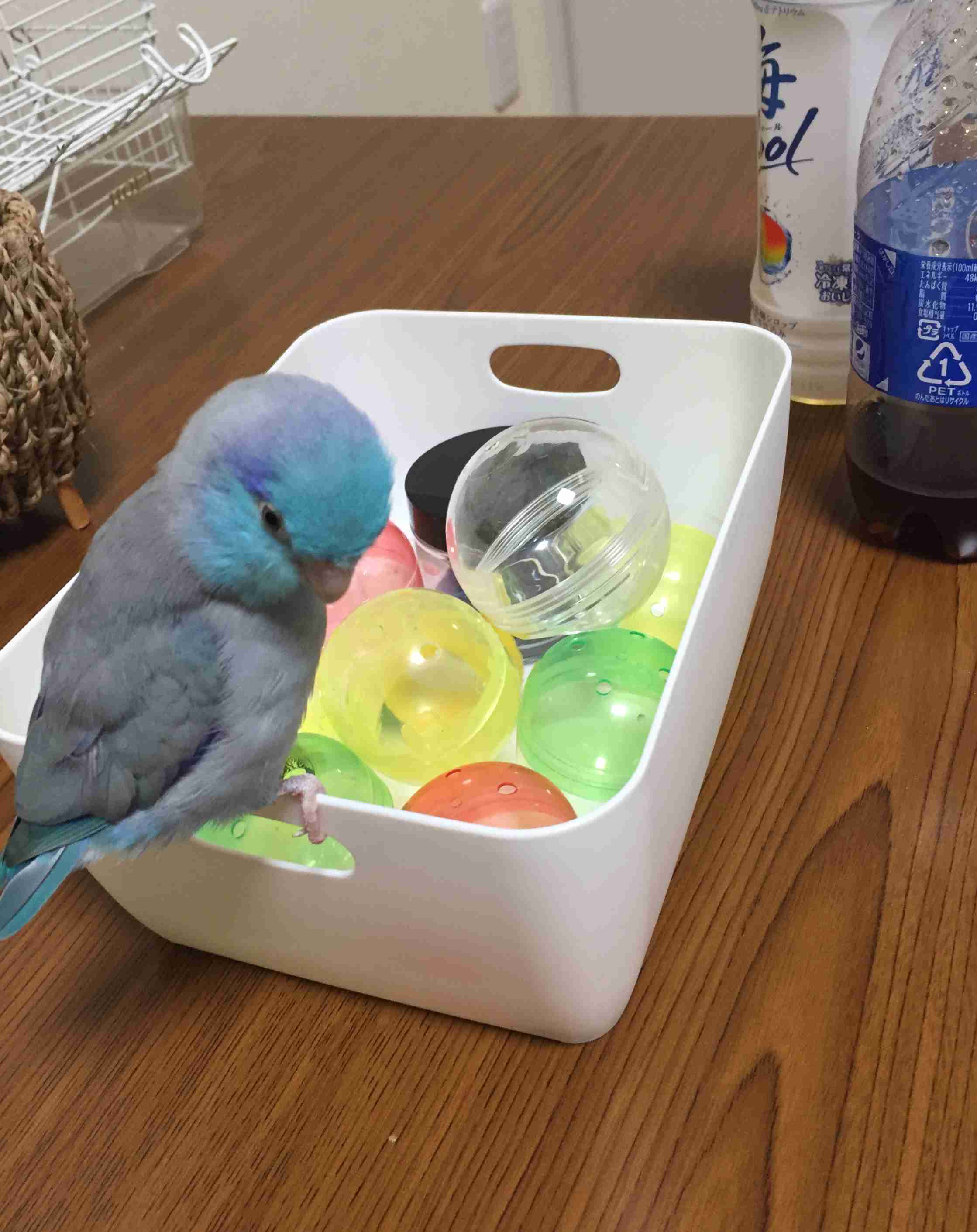 生活感溢れる写真☆part15