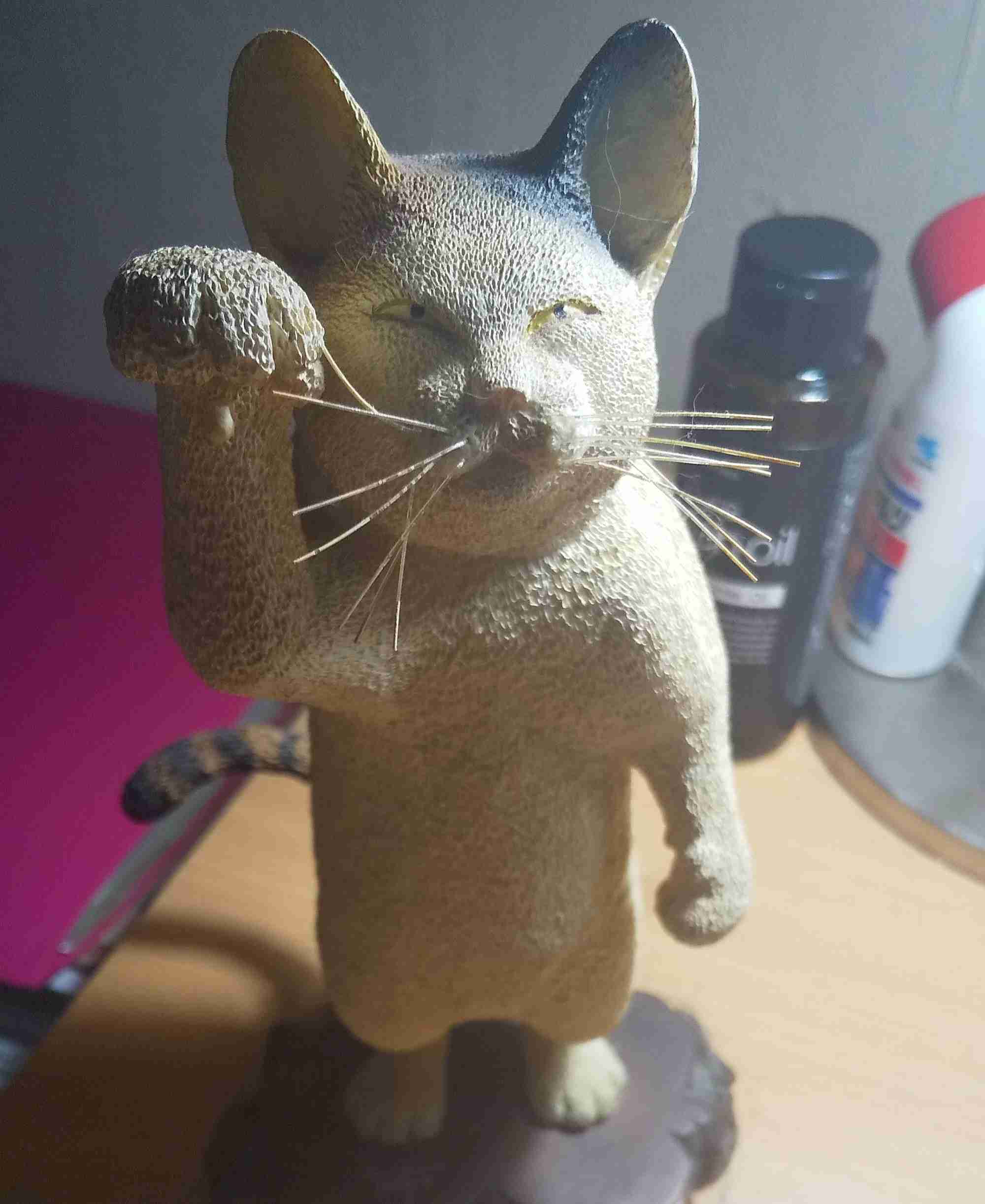 生活感溢れる写真☆part15