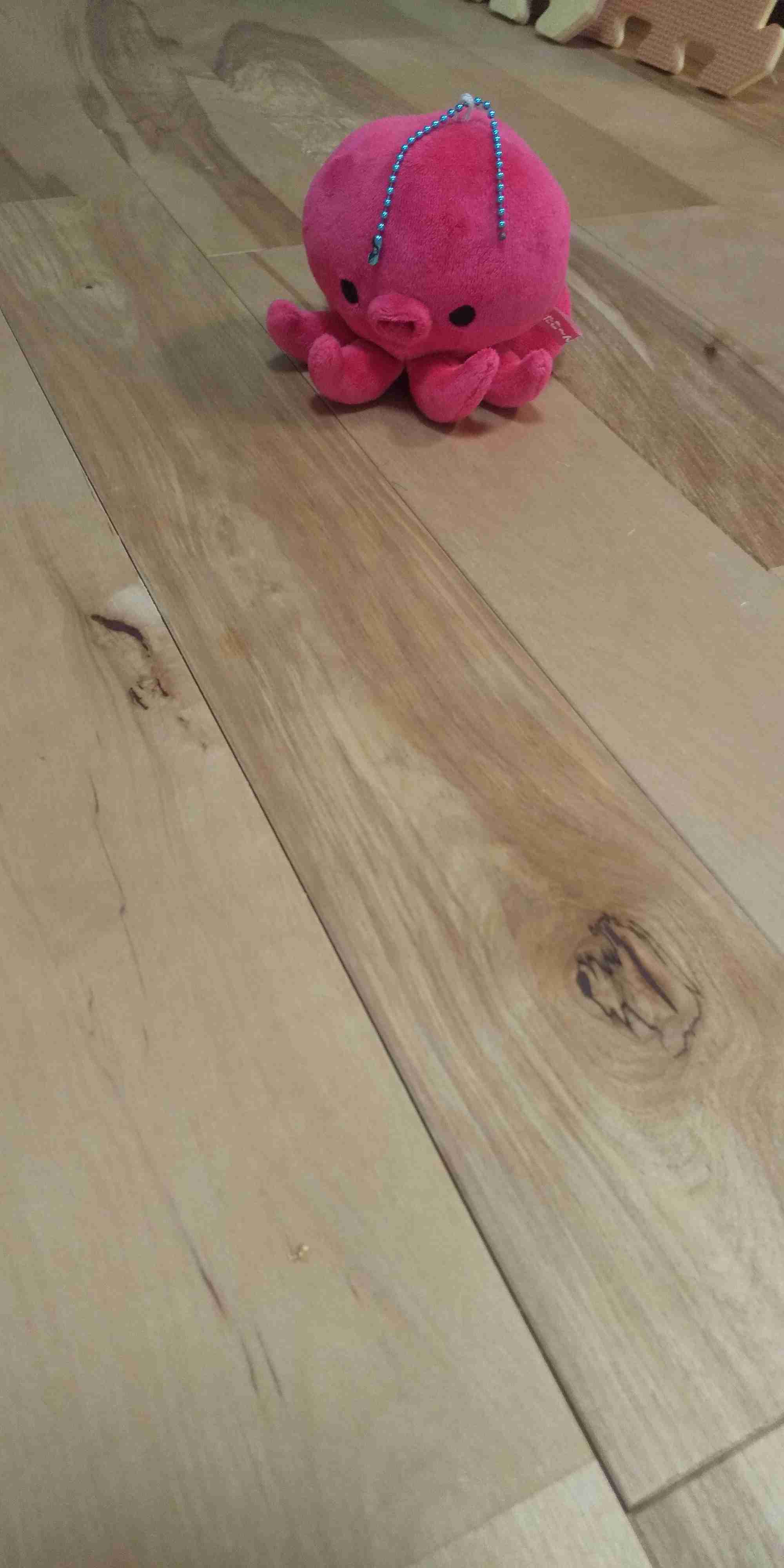 生活感溢れる写真☆part15