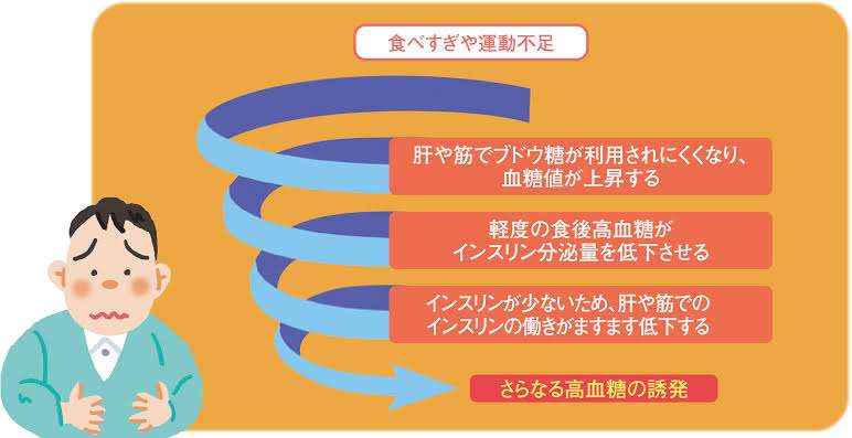 ダイエットの特効薬となるか?2型糖尿病の治療薬に体重を15%減らす効果を確認
