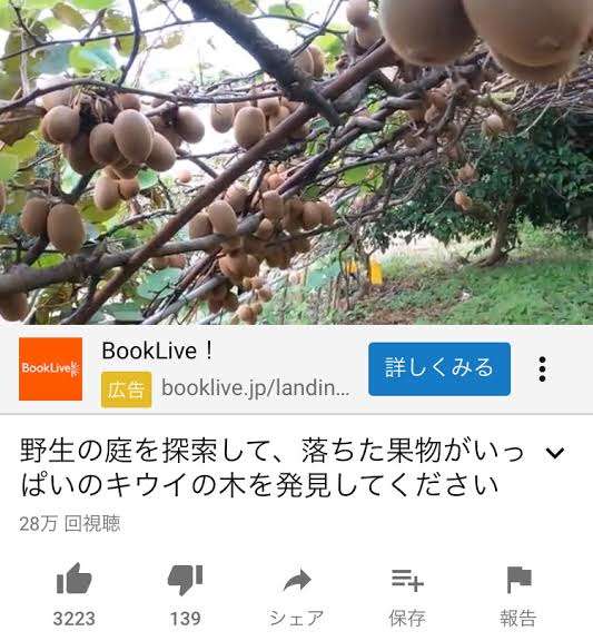 肉まんや野菜92点盗む、カートに載せ店外に出ようと…容疑のベトナム人逮捕
