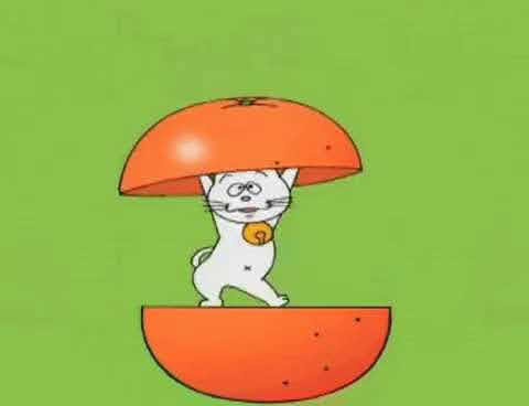 「よっ！」て言ってそうな画像くださいpart2