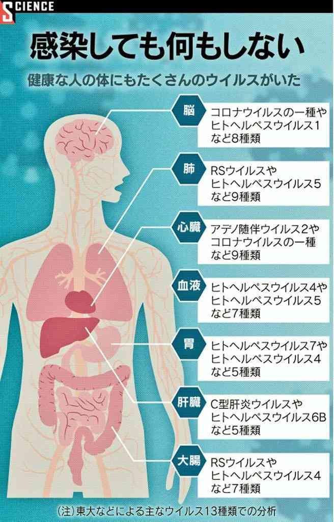 二重マスクと適切な着用、コロナ防止で効果　米CDCが実験