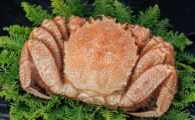 10分以内に完食出来るものにプラス