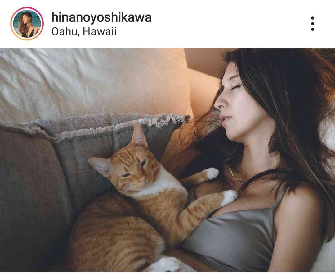 吉川ひなの、妊娠中のお腹チラリ 愛猫とのリラックスショット公開