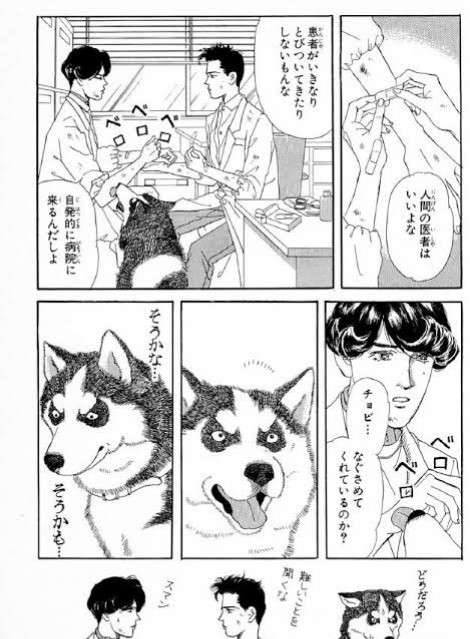 【二次元】推しに方言でアドバイスするトピ【ネタバレ注意】